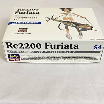 Re2200 フリアータ ガレージキット Amazon.co.jp: 島田フミカネ Re2200 Furiata イタリア空軍高速